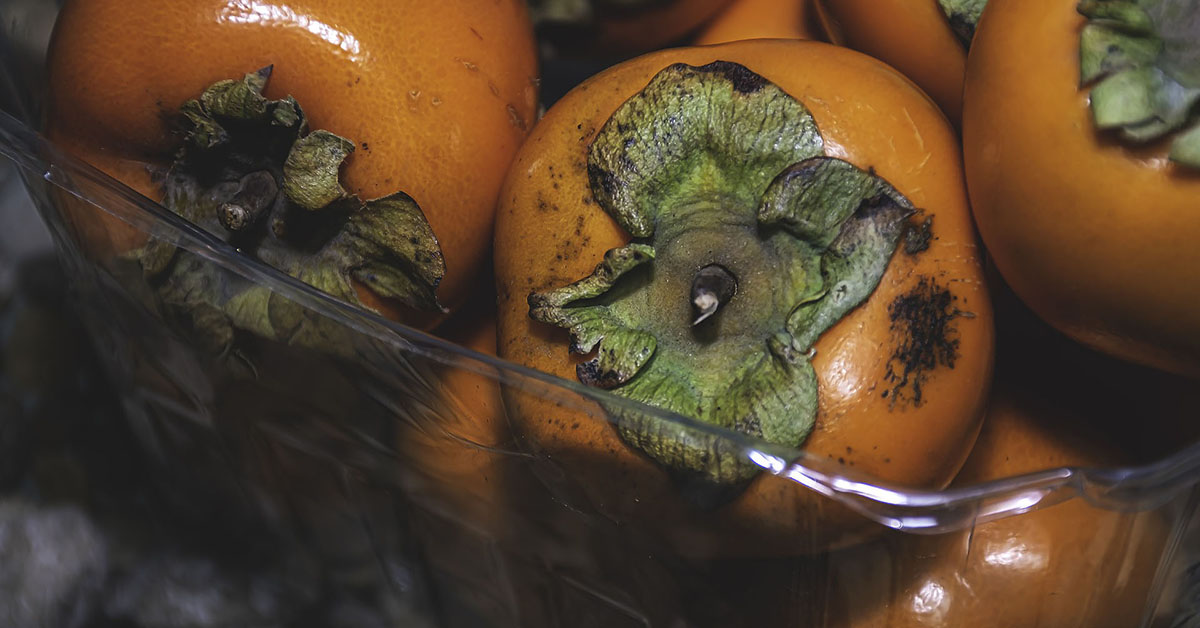 Spoiled persimmons