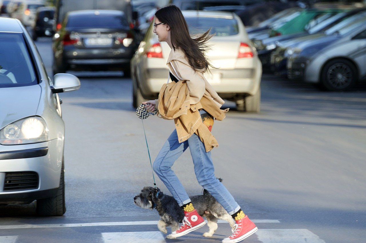  Girl walking her dog amongst cars.