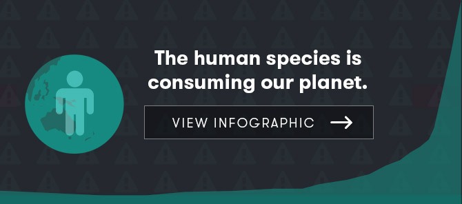 Outpacing Earth's carrying capacity infographic teaser