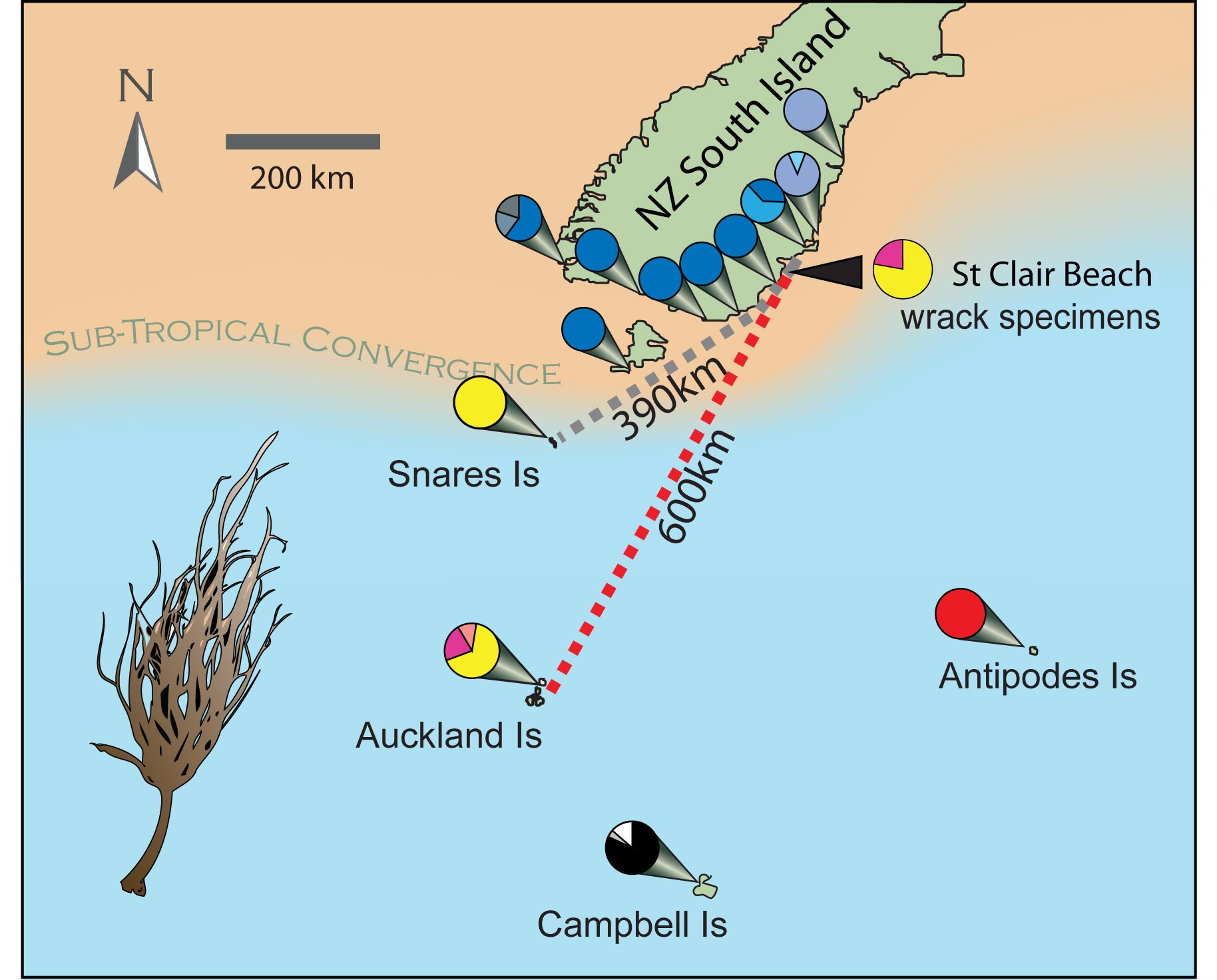 A map showing the position of New Zealand's outlying islands relative to the mainland