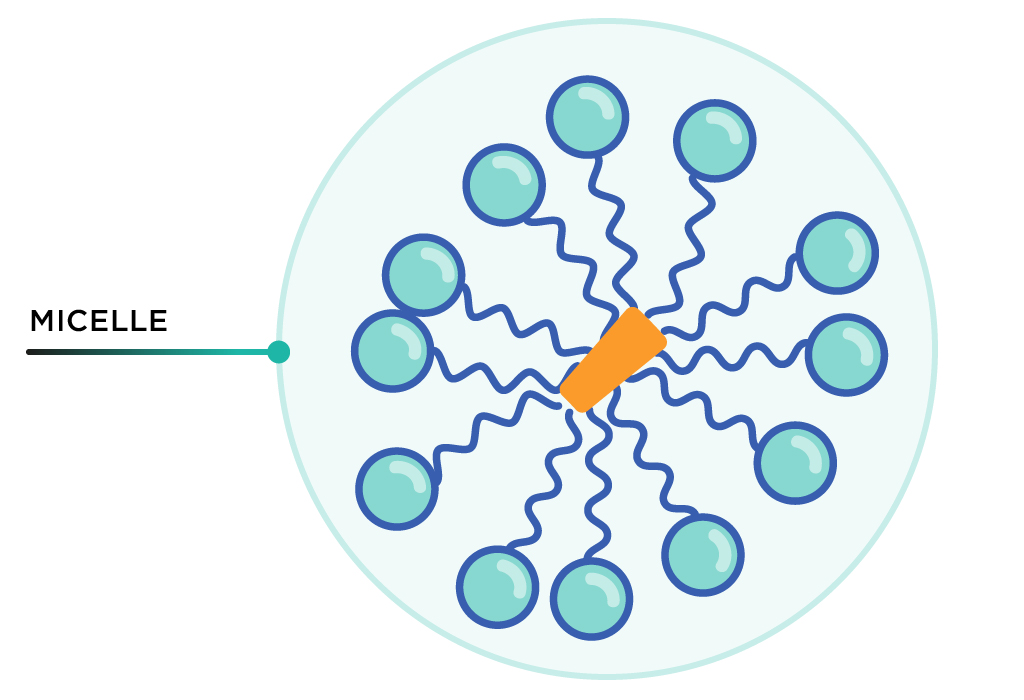 Soap molecules surrounding a virus fragment.