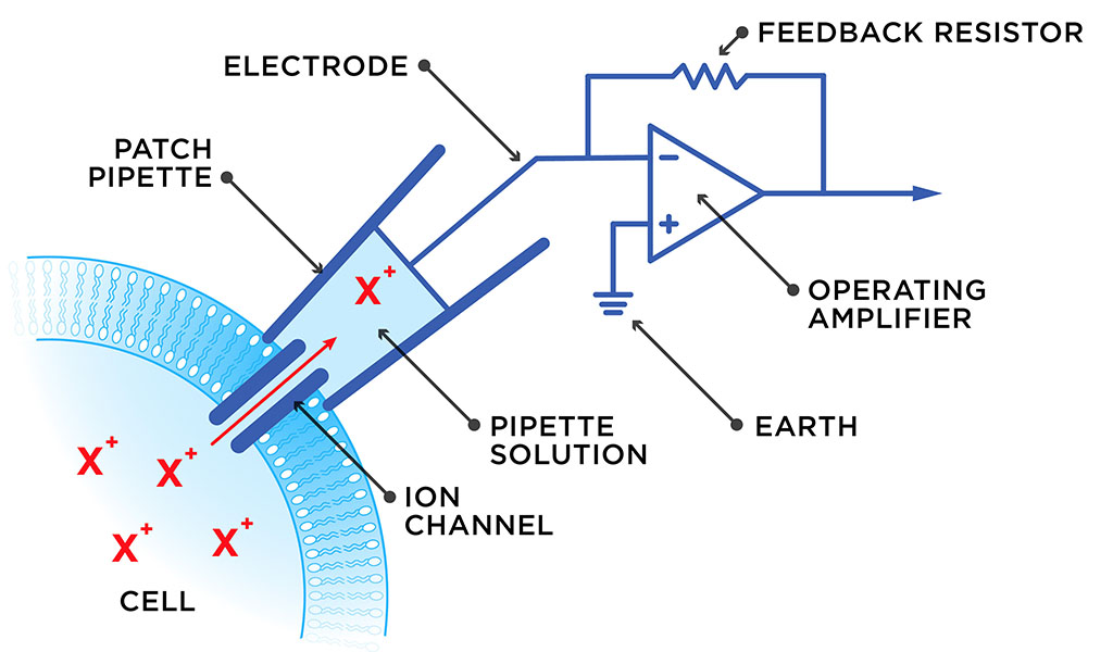 Illustrative diagram of a patch clamp.