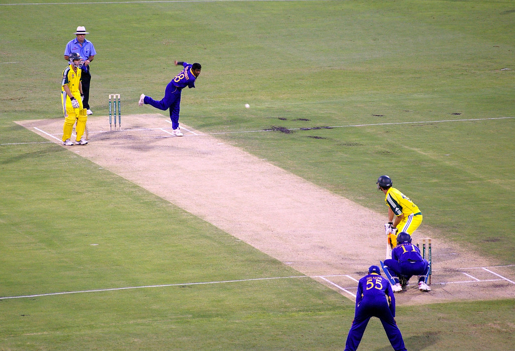 professionals playing cricket