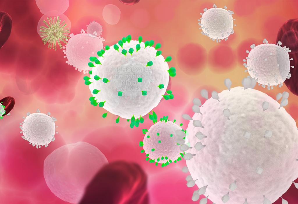 An illustration of lymphocytes in the blood stream