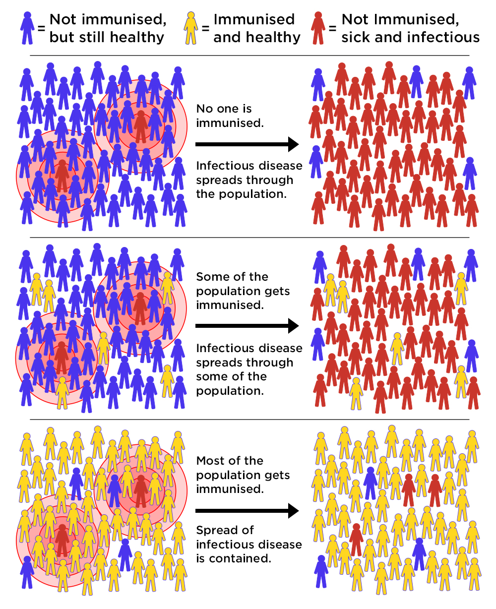 Illustration of the concept of herd immunity