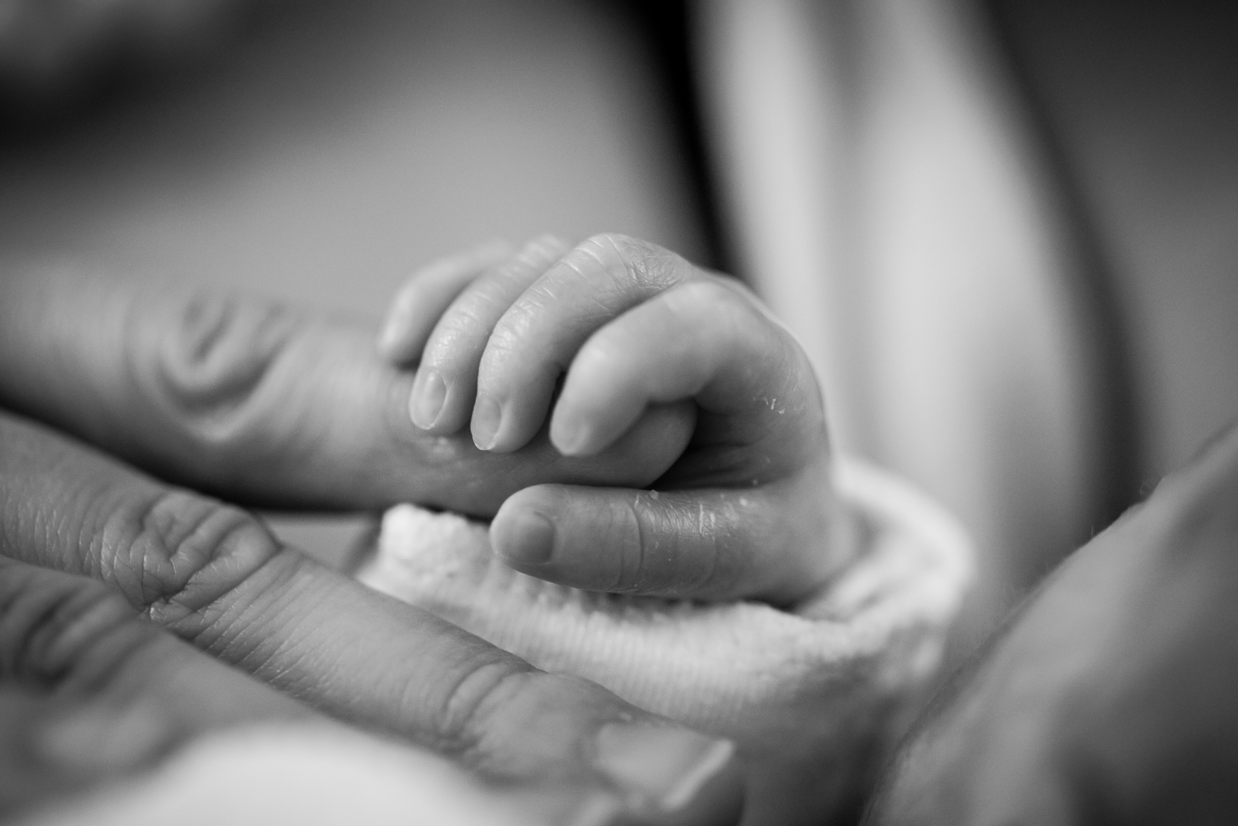 A black and white image of a bay hand wrapped around an adult's finger.