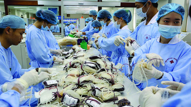 Medical technicians sorting bags of blood.