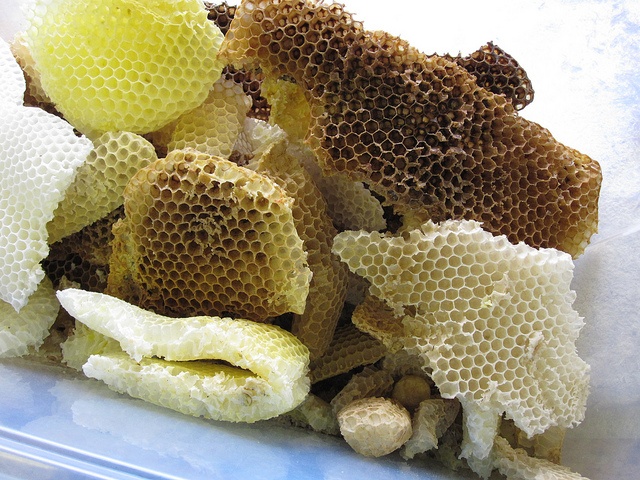 Beeswax