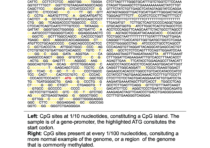 Illustration of nucleotide base sequence showing mulitple CpG sites.