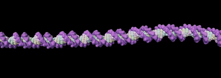 3D image of DNA strand.