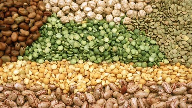 Pulses and legumes