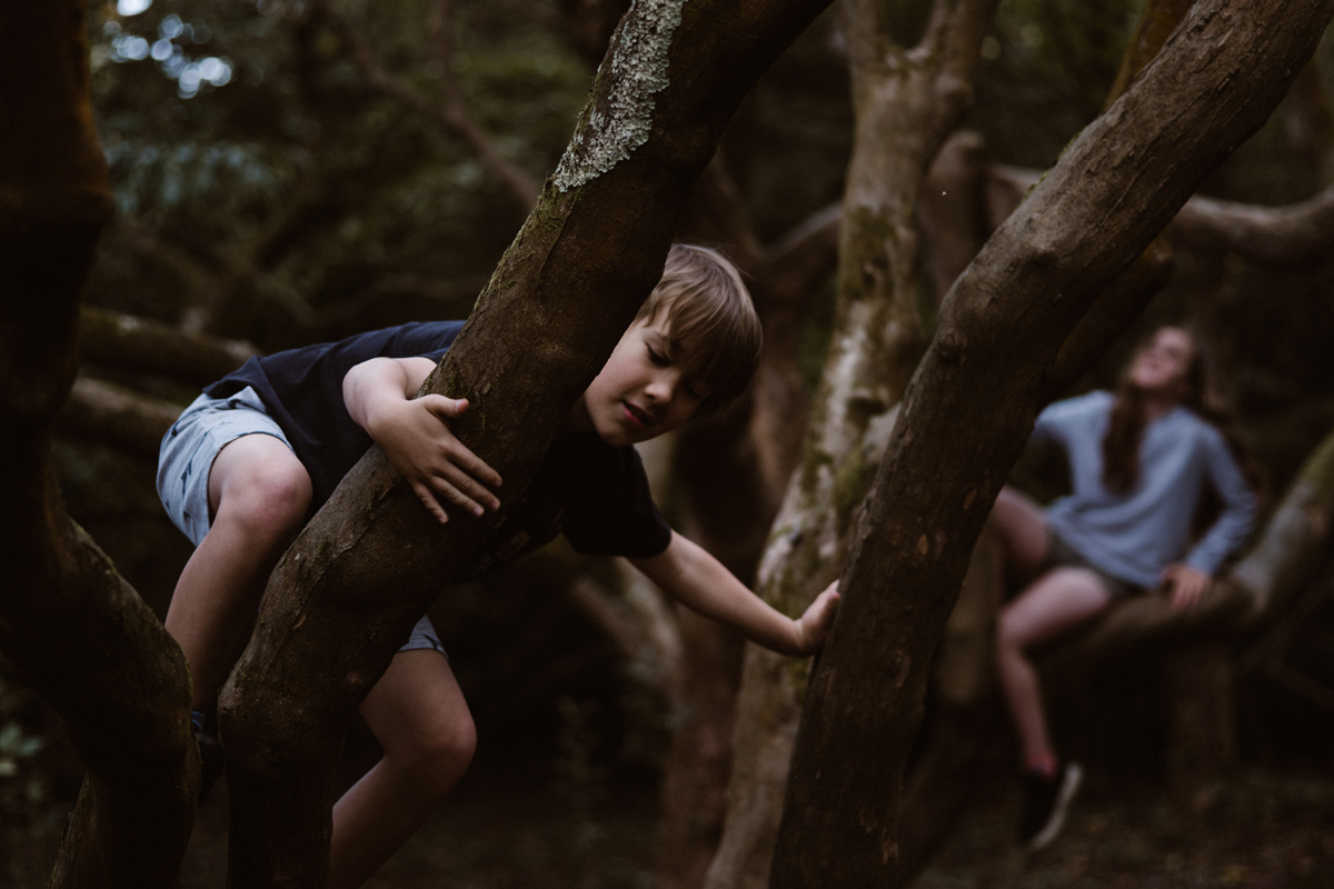 Two children climbing a tree.