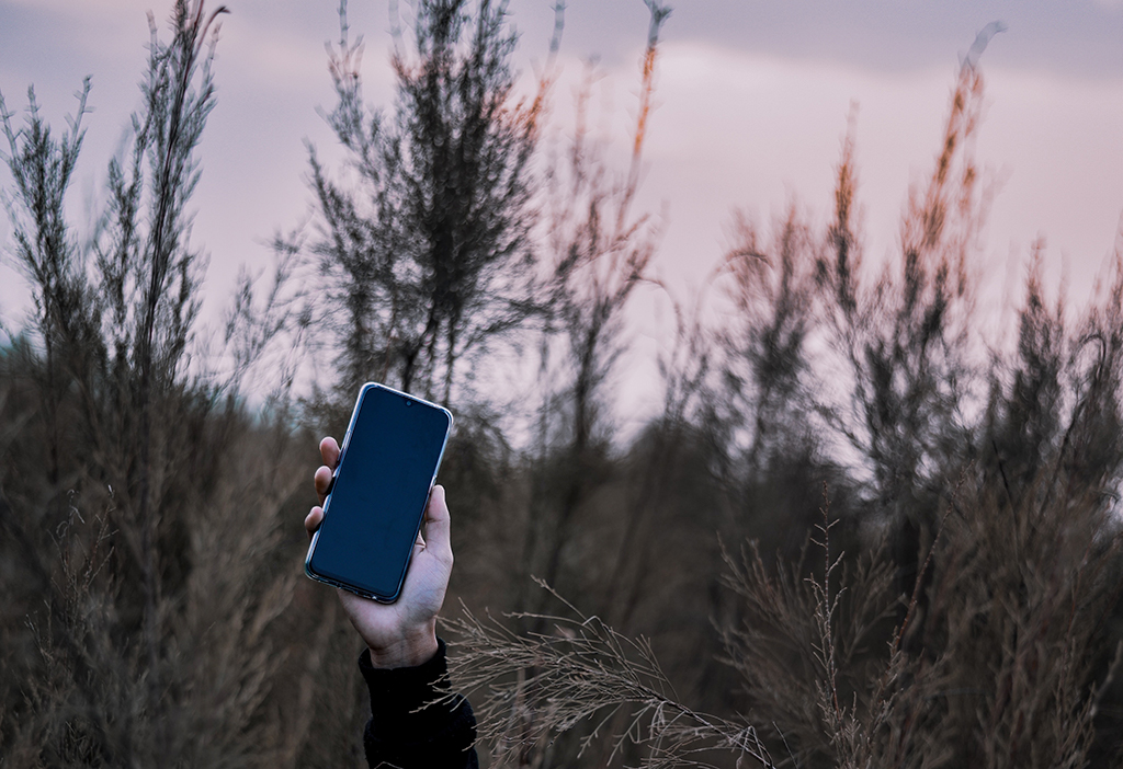 Disembodied hand holds up a mobile phone from a thicket