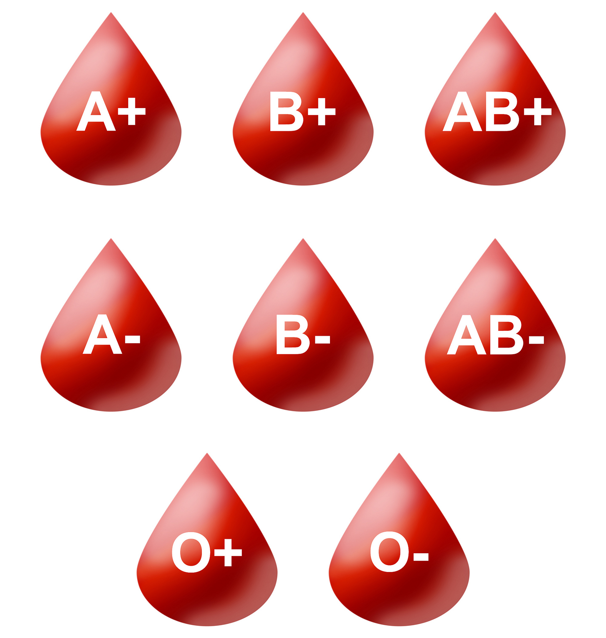Blood Type Personality: What's your blood group? The answer might