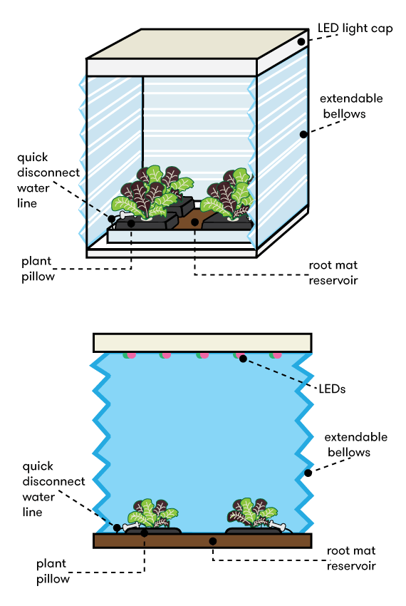 A diagram showing the Veggie unit