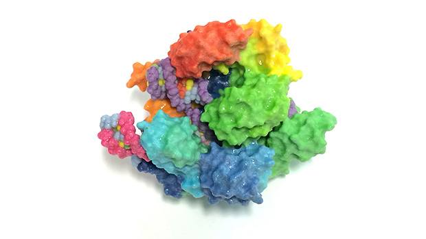 A 3D printed model of the Cas9 protein.