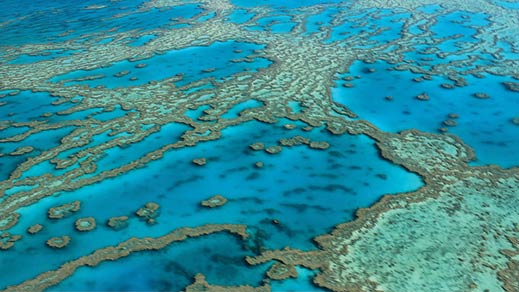 Virtual reality event on the Great Barrier Reef at the National Museum of Australia.