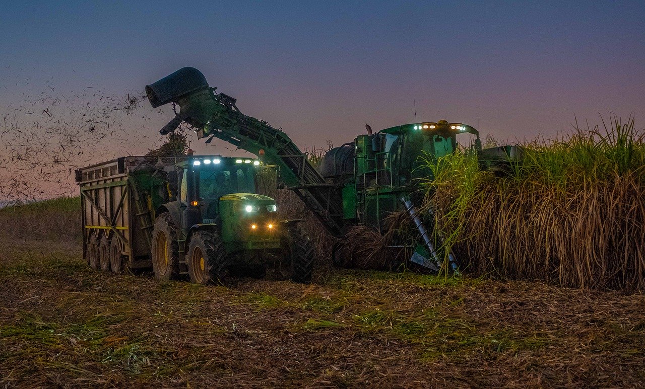 Tractor in sugarcane farm