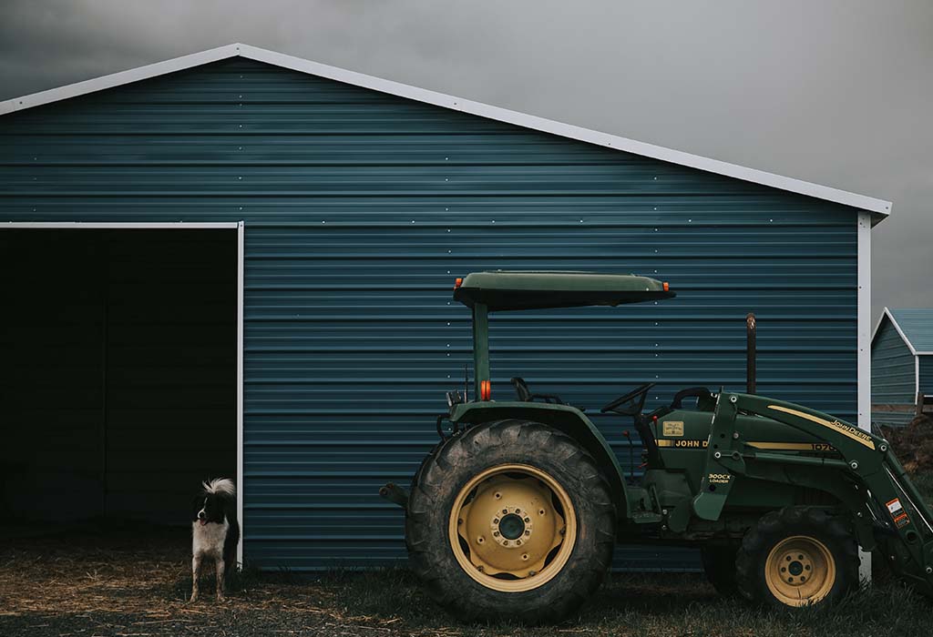 A large metal shed with a tractor and a fluffy dog in front of it.