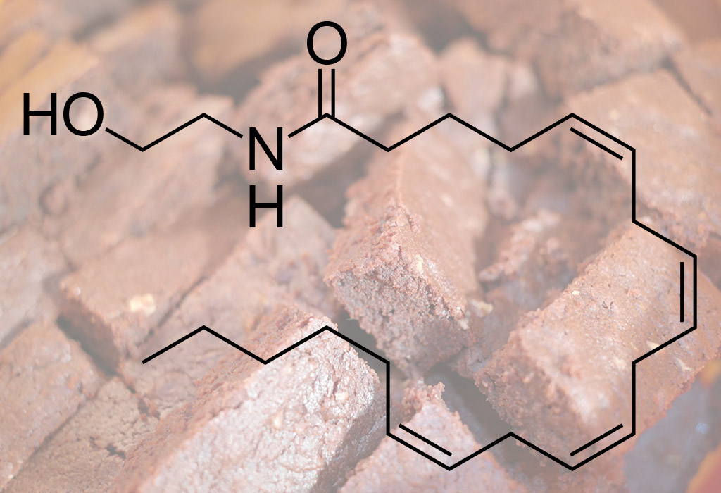 Chemical structure of anandamide superimposed on image of chocolate brownies