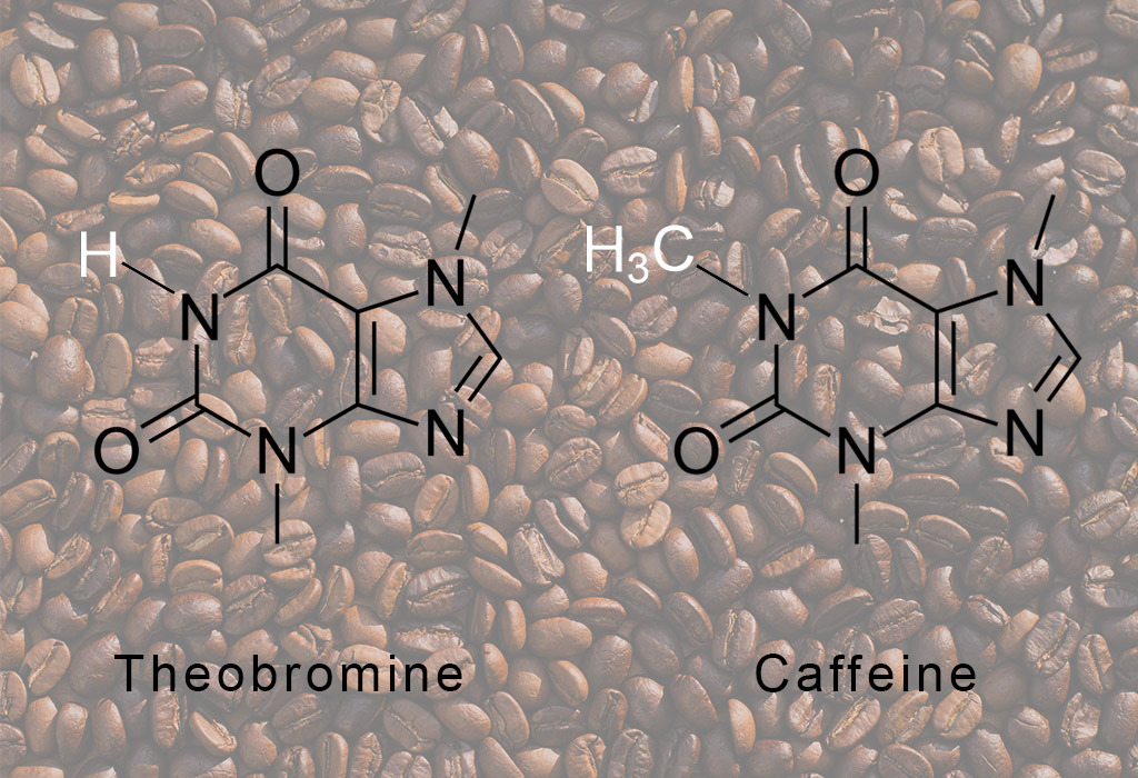 Chemical structures of theobromine and caffeine superimposed on photograph of coffee beans