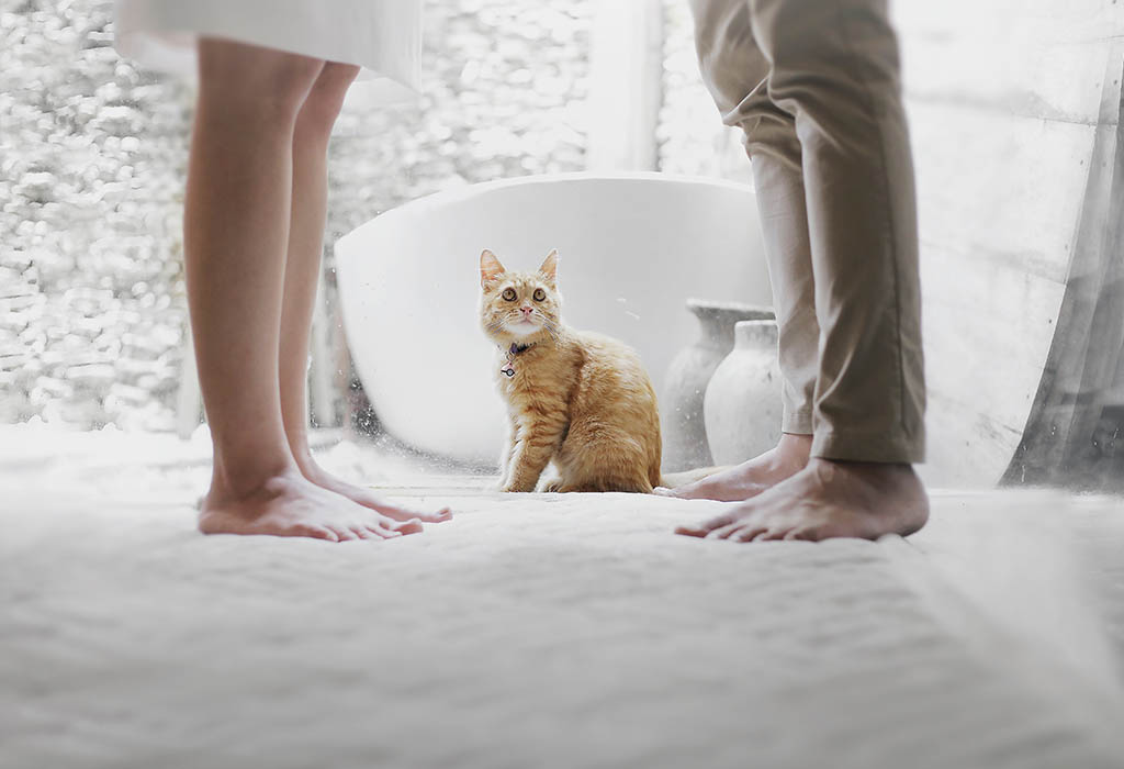 A cat looking up at two people