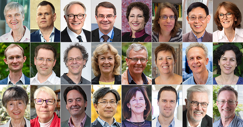 A photo montage of the 2020 New Fellows