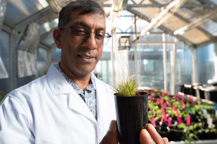 Picture of a scientist with a plant