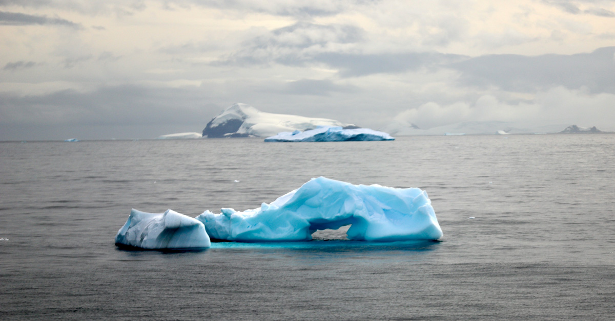 Floating icebergs on a grey ocean