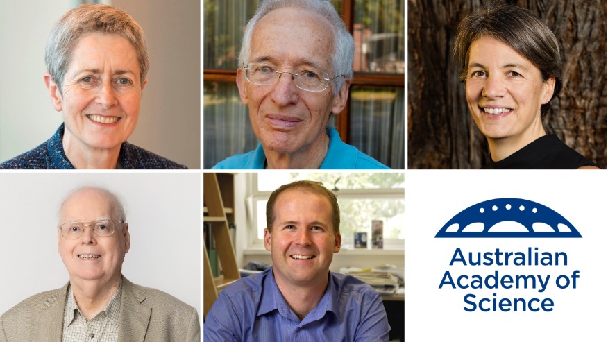 A collage of five headshots and the Academy logo