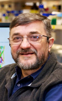 Professor Boris Martinac