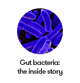 Gut bacteria: the inside story