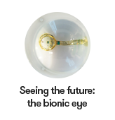 Seeing the future: the bionic eye