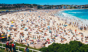 Crowded beach with families enjoying the water