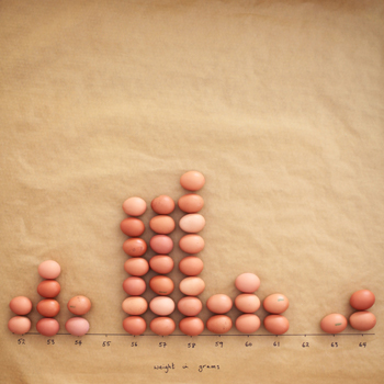 Eggs neatly laid in vertical columns on a flat surface and grouped by weight.