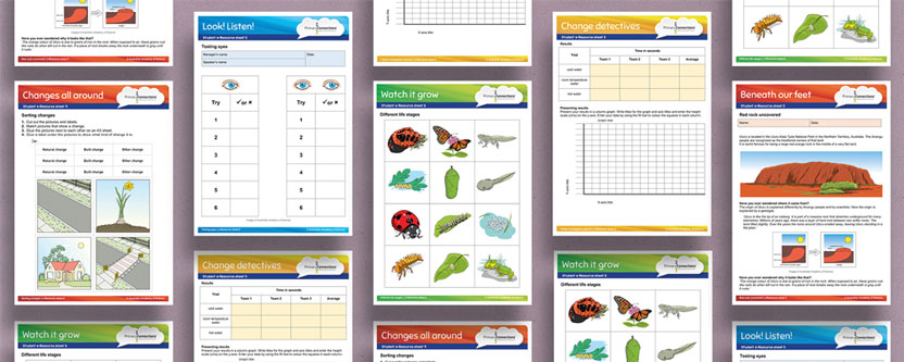 Colourful work sheets for primary students