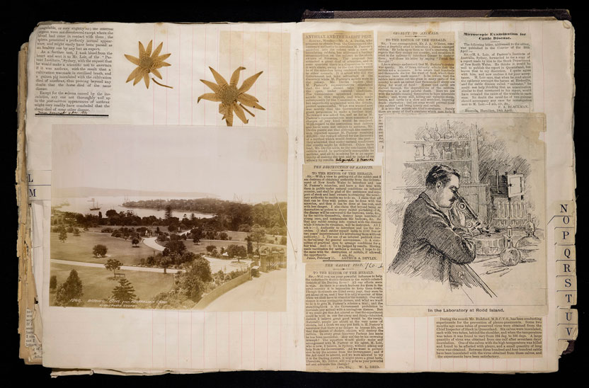 Various sepia coloured photos and cuttings from newspapers glued in a scrapbook, including an undated early photo of the Sydney Botanic Gardens and Sydney Harbour, and a drawing of Loir looking into a microscope