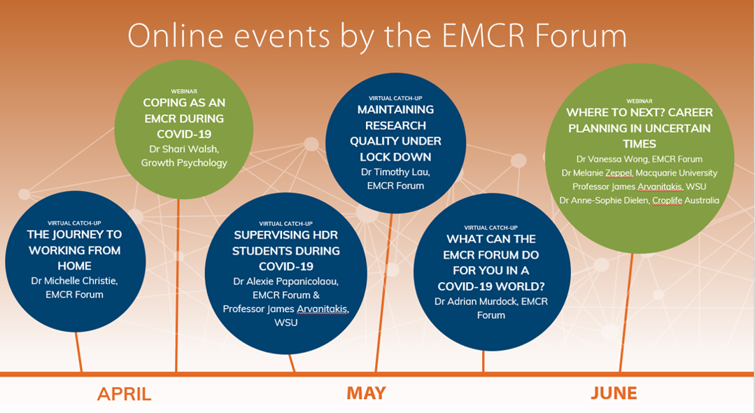 The EMCR Forum has organised a range of online events in the past months.