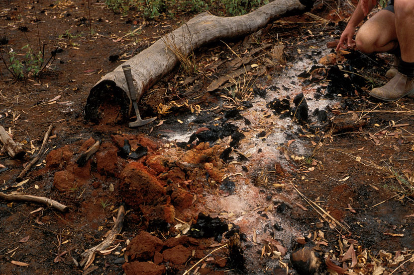 Mostly bare red-brown soil with ash and charcoal on the surface