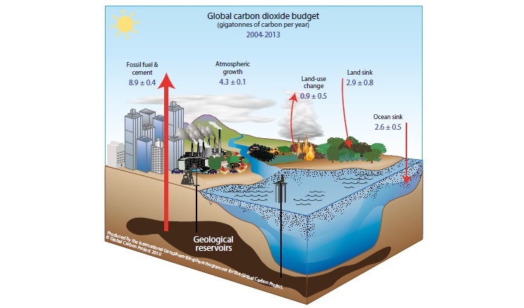 The natural carbon cycle