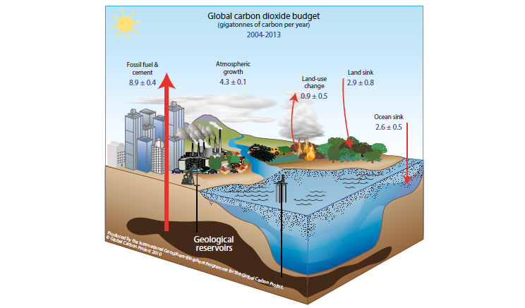 Essay on anthropogenic activities on land