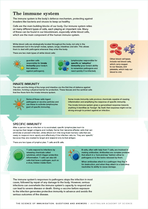 The immune system infographic