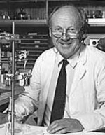 Professor David Curtis