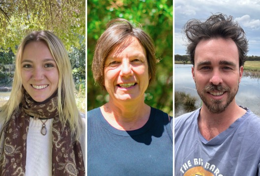 Three portrait images of researchers