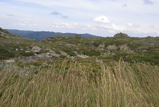 Grassland-covered hills beneath a cloudy sky