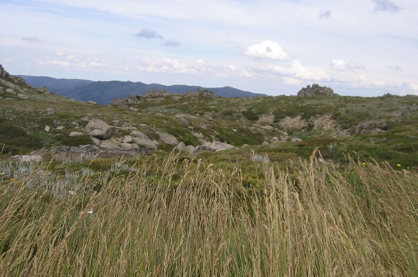 Grassland-covered hills beneath a cloudy sky