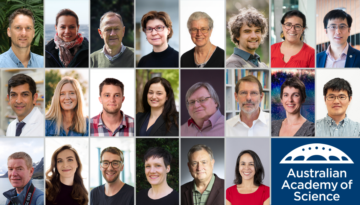 Leading minds and emerging stars: Academy announces recipients of prestigious honorific awards 