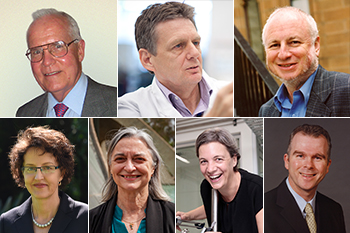 Queen’s Birthday honours for seven Academy Fellows