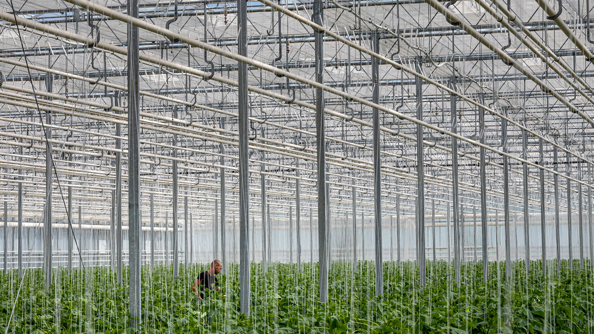 New areas of research must be explored to achieve negative emissions