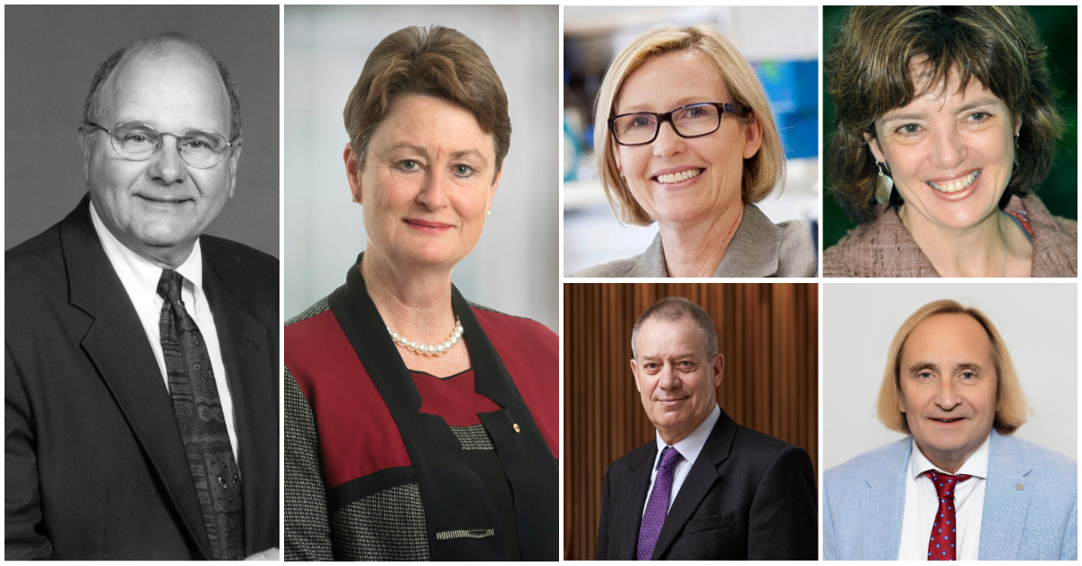 Fellows celebrated in Australia Day honours